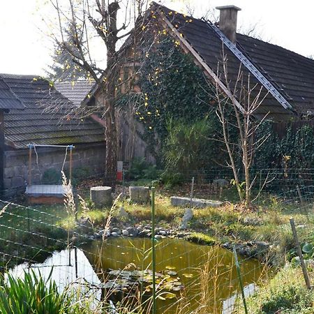 Ferienwohnung Blockheide Gmund  Buitenkant foto